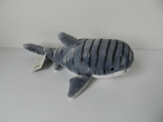 Obrázek z Žralok tygří plyš 30cm 